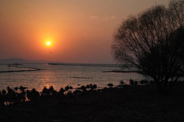 太湖新晋网红！冲！
