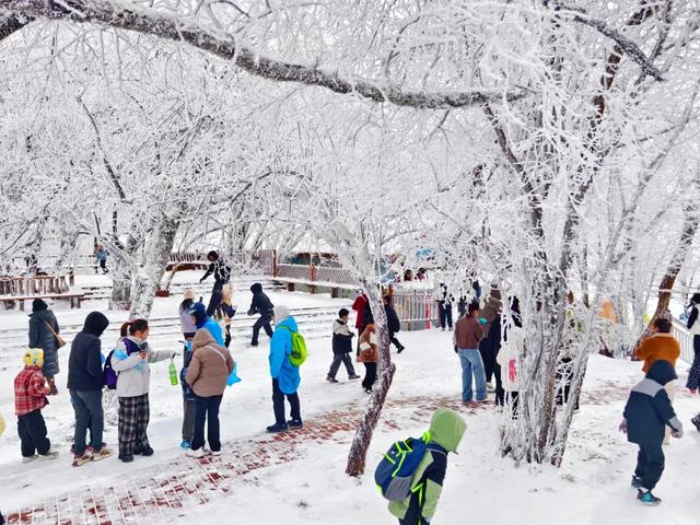 2025龙头山今冬第一场雪已至！快出发来赏雪~