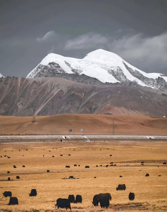 西藏雪山秘境TOP榜，谁才是你心中的Top1？
