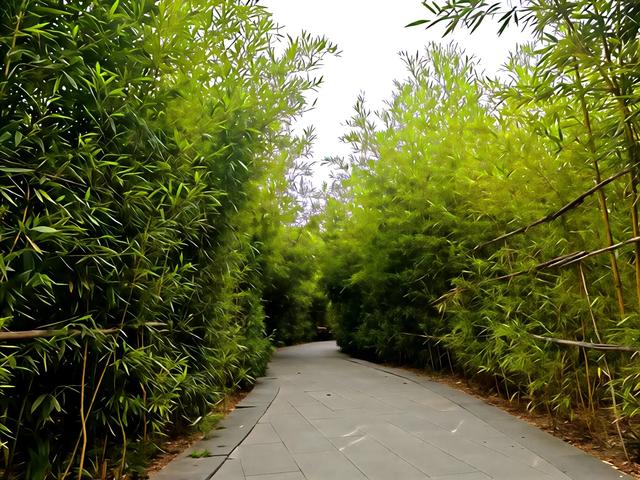 山西及周边随意行之伏羲 16