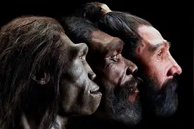 人到底是怎么来的？科学家意外发现人体新器官，人是否还在进化？图片