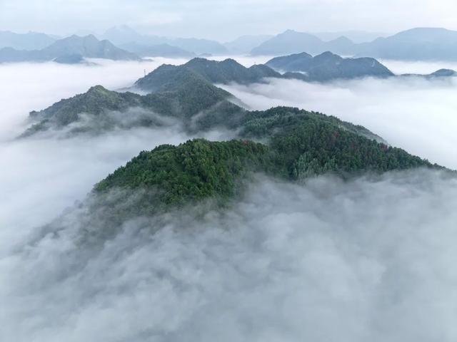 仙 境 康 城