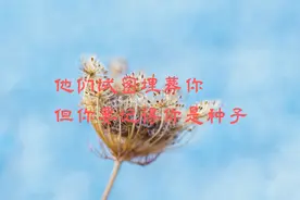 浙江农林大学086200风景园林考研（344/503）上岸干货分享！图片