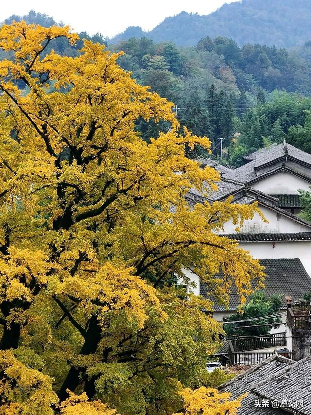 被初冬的遵义美到了