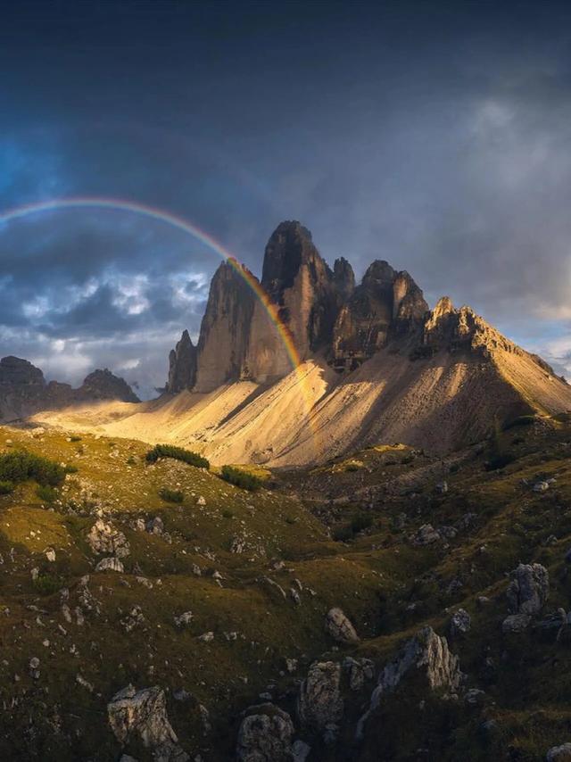 你当像鸟，飞往你的山⛰️美图壁纸