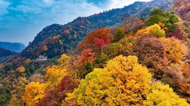 米仓山红了！4 万亩彩林漫过盐井河，把千年古道染成流动的火焰