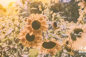 亲家见面三不说，越不说，越会被高看！图片