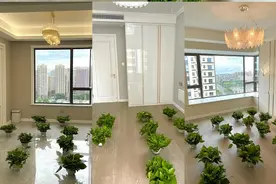 新房“住烂”才发现，通风并非万能，试试这招，让甲醛无处藏身图片