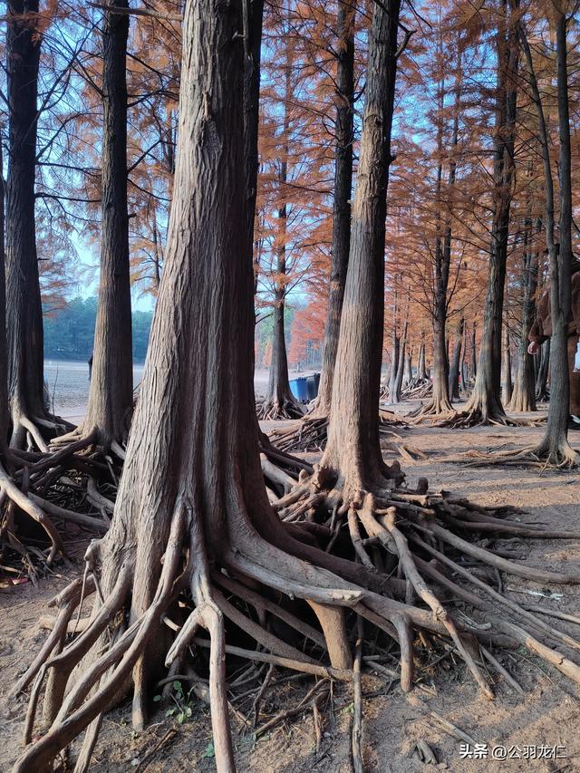 行吟2025：在山水与历史的褶皱里，拾捡时光的诗行