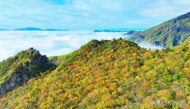 双节同庆·畅游柞水-生态探幽·红叶秘境之旅