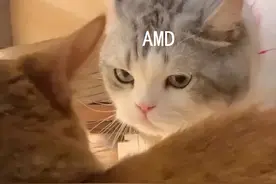 像盖楼一样构建CPU，AMD怎么做到的？图片