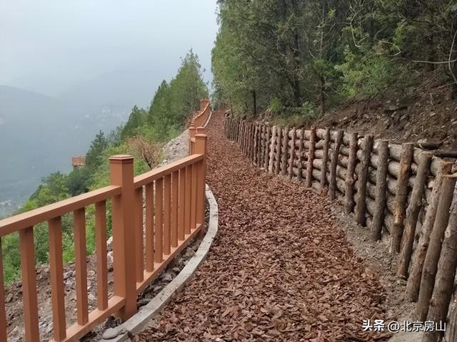 诚邀您共赴一场焕活身心的“森”呼吸之旅！