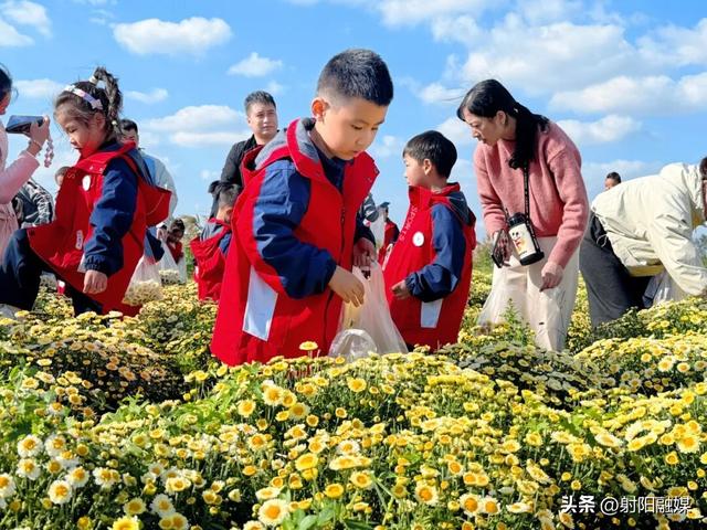 看完这朵看那朵🤩