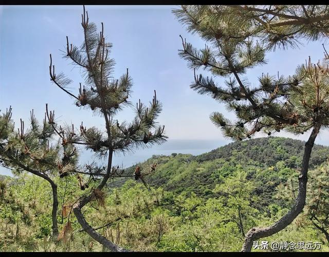 去了辽宁大连游玩了一圈,我有三个问题,忍不住问一下