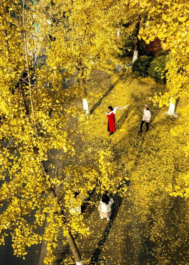 20个点位已公布!张家港人拍照请抓紧