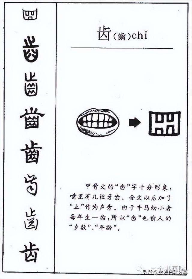 中国人必知的500个常用字起源（上）