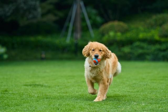 为什么下雪不让用融雪剂了！？