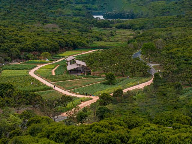 周六去西丽，一起向山行！