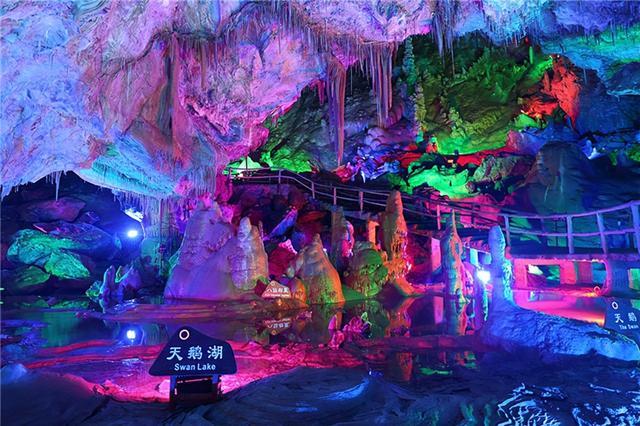 别等春天！陇南的冬日密语里，藏着限定版春日烂漫