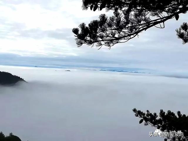 蓝松志
