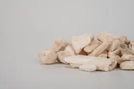 药师释药——龙骨（“龙”为阳物，能统摄阳气）图片