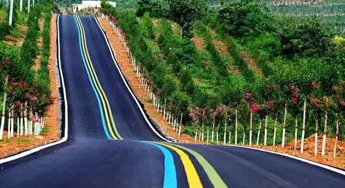 风情满眼秋色中 （杨水河）