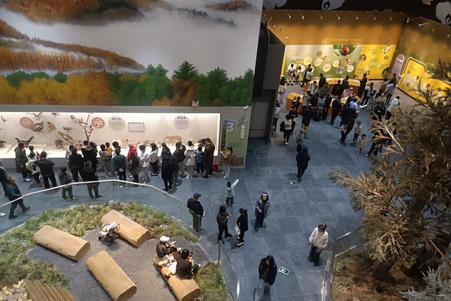 三花并蒂 呼伦贝尔博物院国庆“霸屏”文旅圈