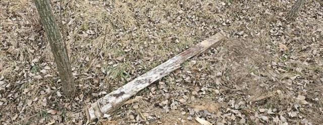 实锤，海南岛离沂水城最近38km