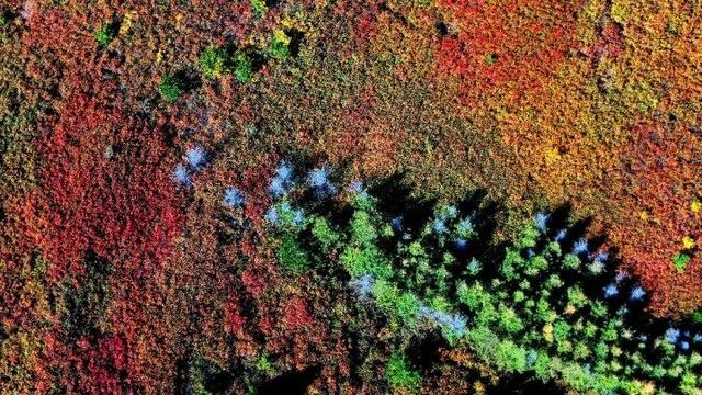 走进赤峰马鞍山林场 邂逅绚烂山林秋色