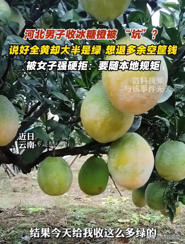 收冰糖橙被骗后续：坑人代办身份被扒，正面照曝光，官方通报来了