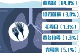 全球超过3亿人正遭受真菌感染，每年超200万人因此死亡，霉菌真的可怕吗？我们该如何预防？图片
