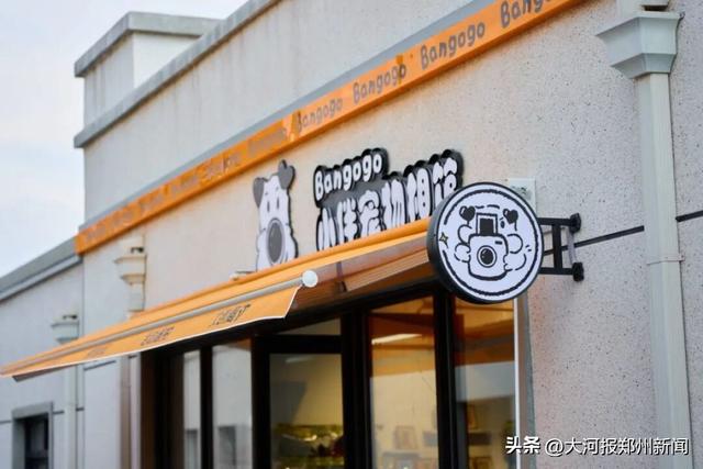 郑州管城区十一假期文旅“大餐”登场，开启“可观可玩可购可享”微度假