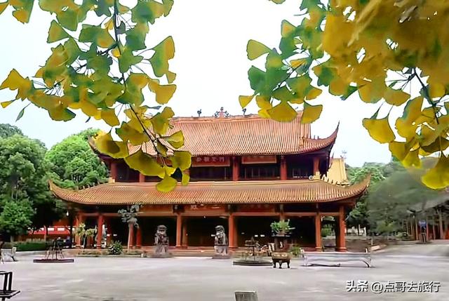 四川德阳最不可低估的寺庙，蕴含皇家气度，清幽静谧，公交直达！