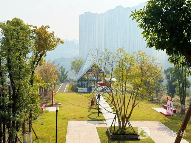 五星湿地藏秋韵，东兴初冬打卡新地标