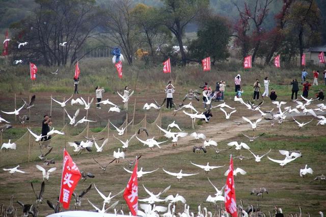 这个假期，长春天天让人“为难”！！！