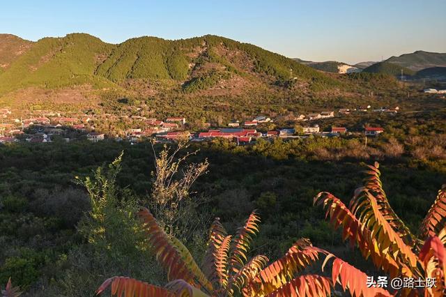 遵化娘娘庄南山常乐谷，红叶红果装满秋日惊喜