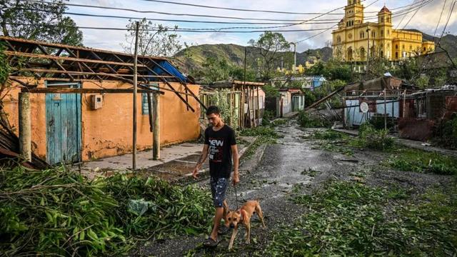 迄今世界第一大蛛网：106平米，11万只蜘蛛的家
