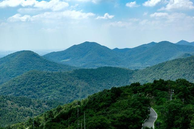 石象路银杏黄了！秋日南京必走的几条经典路线