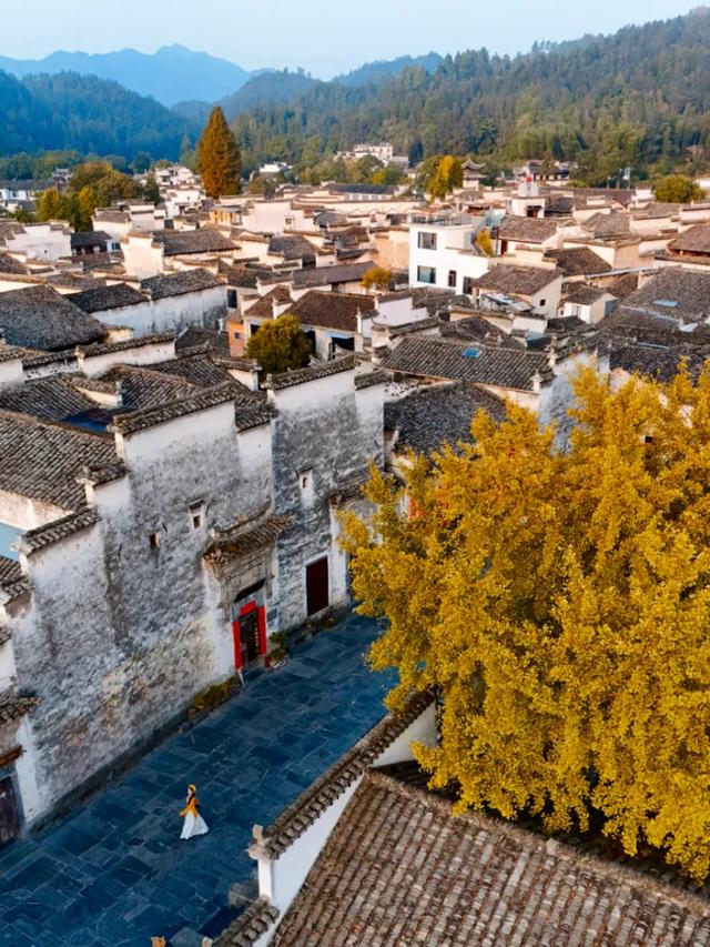 黄山初冬，打翻调色盘的绝美限定 | 皖美冬日