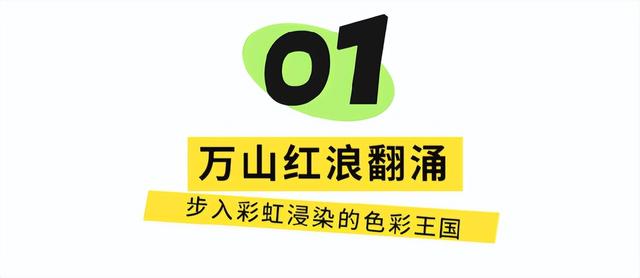 成都出发2.5h刹拢最绝红叶之城！秋色媲美九寨，一城吃够三省美食！更有山林温泉泡过瘾！