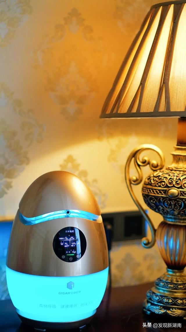 万家丽国际大酒店把“森林”搬进客房 多元业态唤醒城市旅居新想象