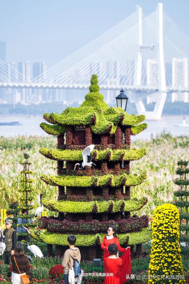 武汉今秋最大花展，限时一个月，免费！
