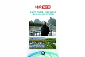 和谐共生丨地球上的这些“宝”，总书记叮嘱要呵护好图片