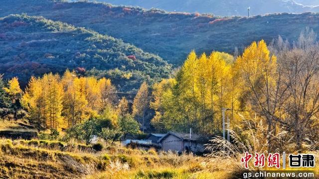 甘肃民乐：祁连山金色秋景如画卷