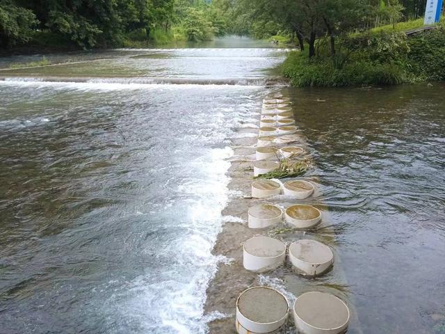 端阳喜伴小溪河，独有诗心迷远足——徒步小溪河散记（三）