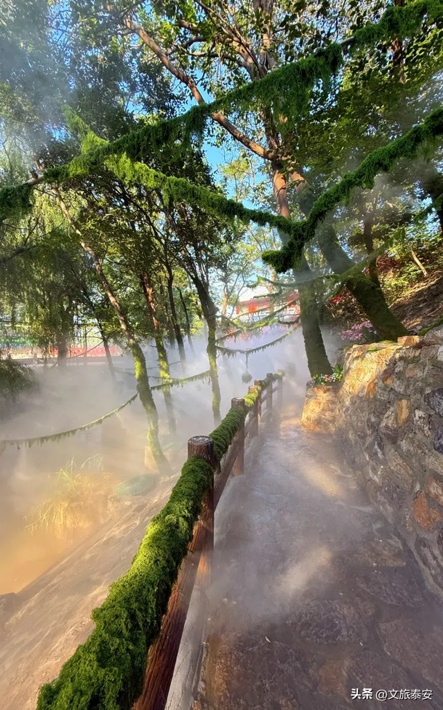 @Everyone 错峰游玩正当时！东平湖景区的快乐，我不允许你错过！