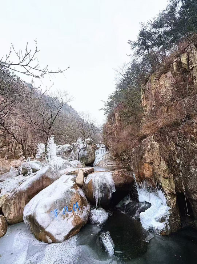 崂山这块石头火了！来崂山——“马”上好运！