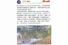 被指“全网最抠门” 悬赏卡皮巴拉的动物园紧急澄清！图片