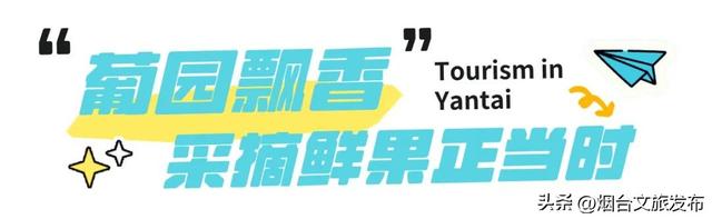 【乐游烟台】九月好去处丨开海季！大批生猛海鲜即将上桌