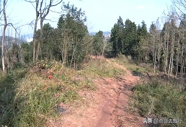 成都龙泉山爆红徒步路线，享受超级梭梭板，大人小孩都喜欢！